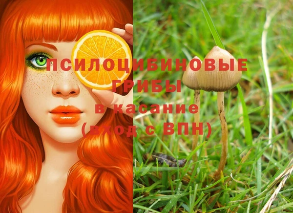 винт Алексин