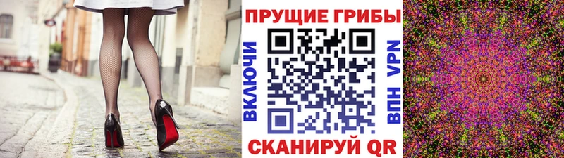 закладки  Бокситогорск  Псилоцибиновые грибы мицелий 
