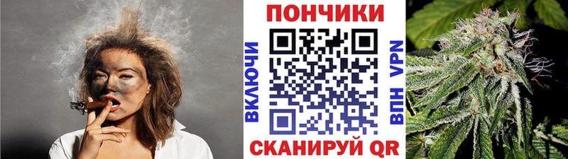 Канабис план  Бокситогорск 